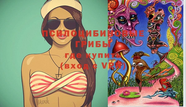 PSILOCYBIN Сатка
