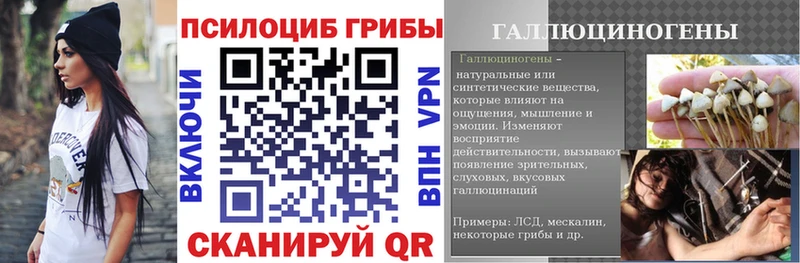 Псилоцибиновые грибы MAGIC MUSHROOMS  где купить   Вихоревка 